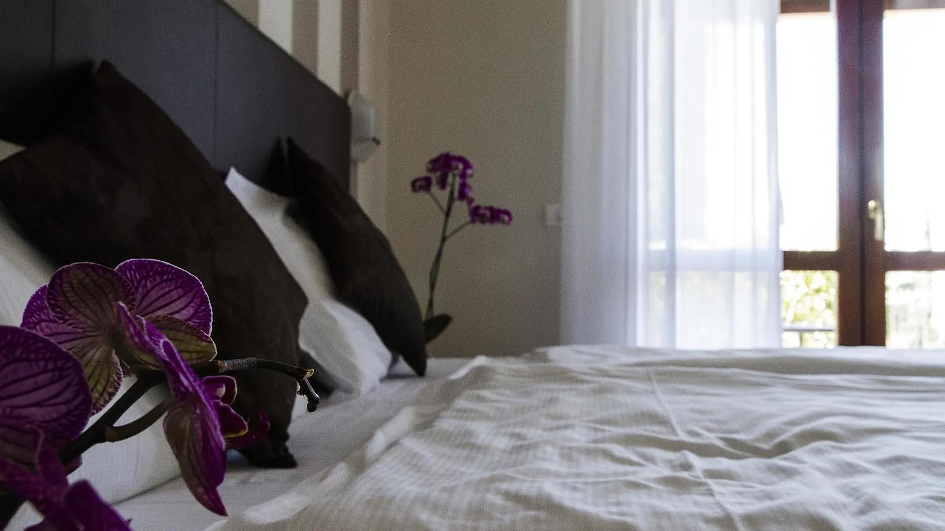 Hotel Relais Agli Olivi Lazise